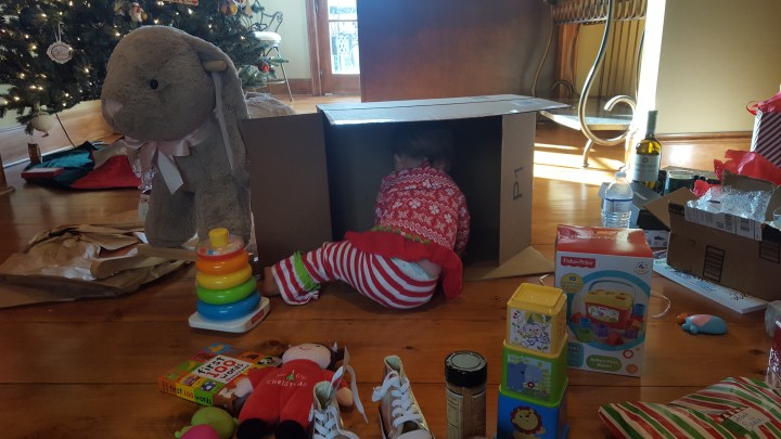 All is Calm&nbsp;(not)